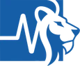 Lion NDT logo
