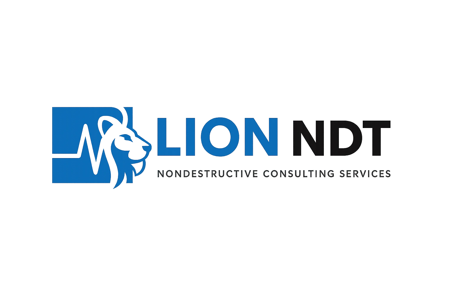 Lion NDT logo